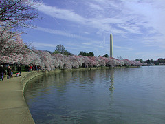 Interesting-facts-and-tips-about-Washington-DC1